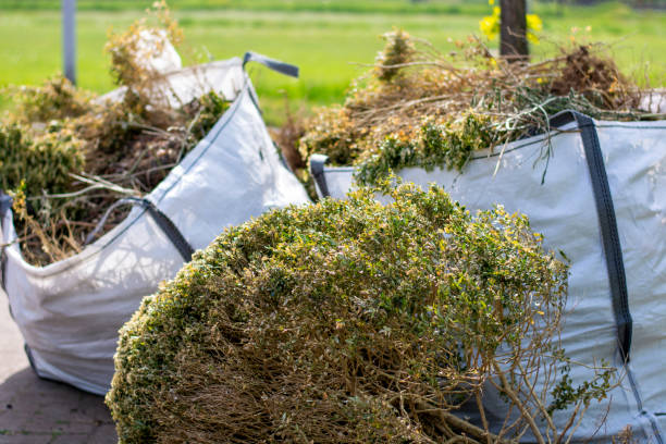 Best Furniture Removal Near Me  in New Madison, OH
