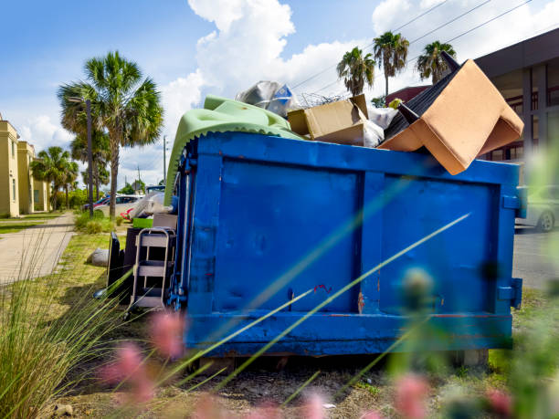 Best Affordable Junk Removal Services  in New Madison, OH